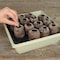 Plantation Products Jiffy 14 Cells 11 in. H X 11 in. W Seed Starting Kit 1 pk T14H - alternate 4